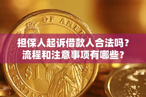 济南担保人起诉借款人合法吗？流程和注意事项有哪些？