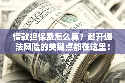 济南借款担保费怎么算？避开违法风险的关键点都在这里！