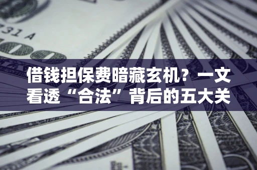 济南借钱担保费暗藏玄机？一文看透“合法”背后的五大关键陷阱