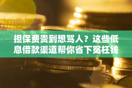 济南担保费贵到想骂人？这些低息借款渠道帮你省下冤枉钱