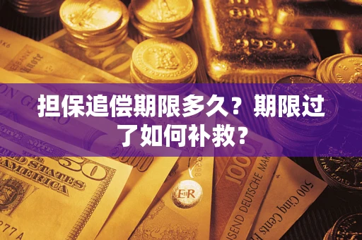 济南担保追偿期限多久？期限过了如何补救？