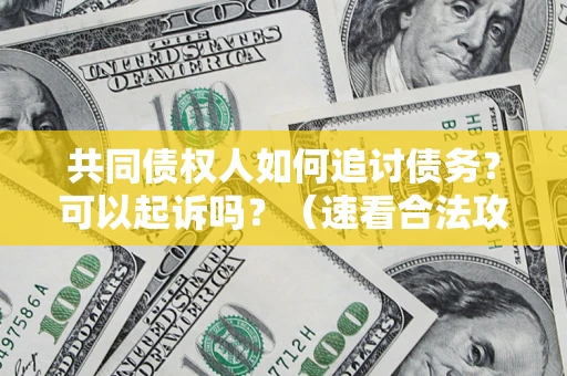 济南共同债权人如何追讨债务？可以起诉吗？（速看合法攻略）