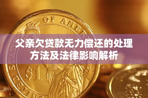 济南父亲欠贷款无力偿还的处理方法及法律影响解析
